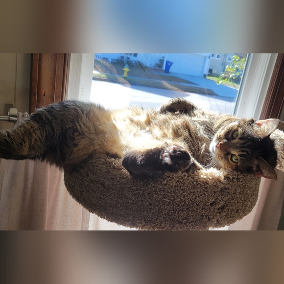 Meet your Posher, Mishelle - Picture 7 of 14